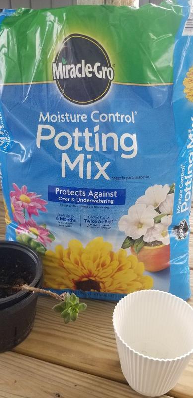 Miracle-Gro Moisture Control Potting Mix | ScottsMiracle-Gro US
