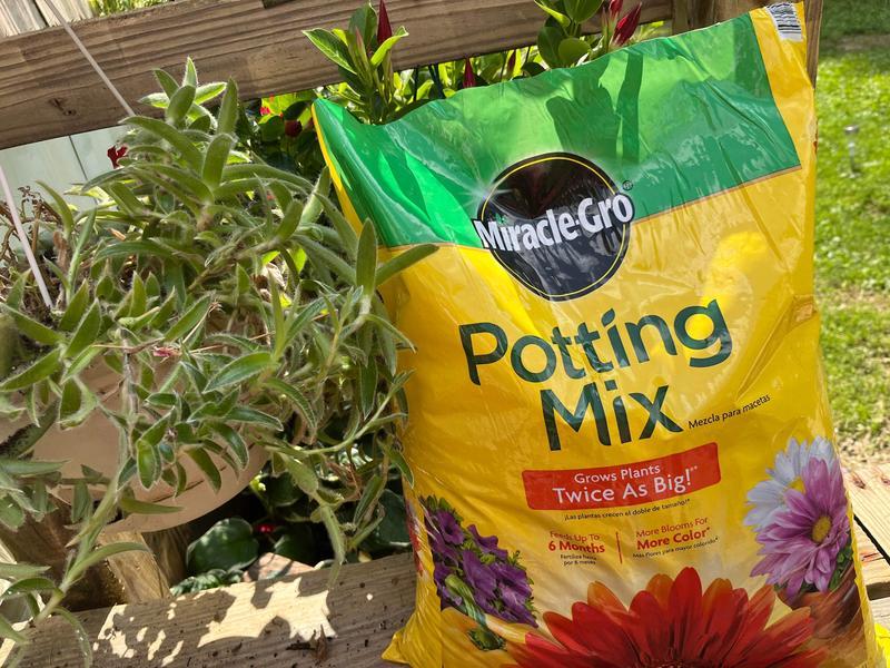 Buy Miracle-Gro Potting Mix, 8 qt from Dollar General - Instore