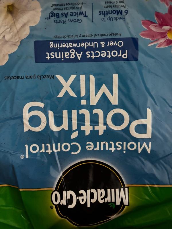 Review photo 3.