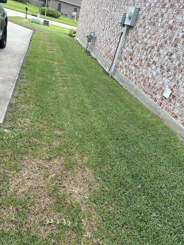 These were taken AGTER