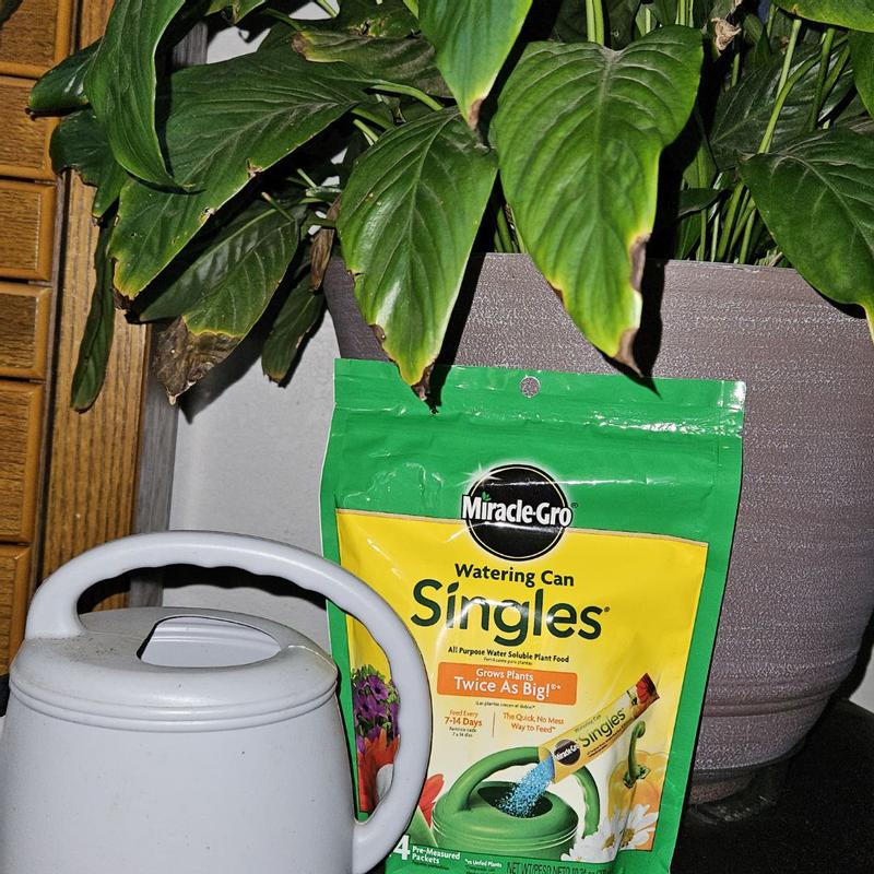 Miracle-Gro® Watering Can Singles All Purpose Water Soluble Plant Food |  ScottsMiracle-Gro US