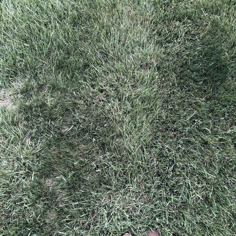 Review photo 3.