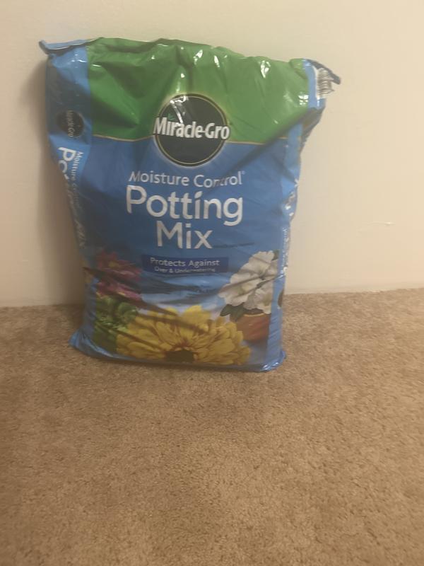 best potting soil for indoor philodendron 8L Philodendron Soilless Potting Mix for Houseplants