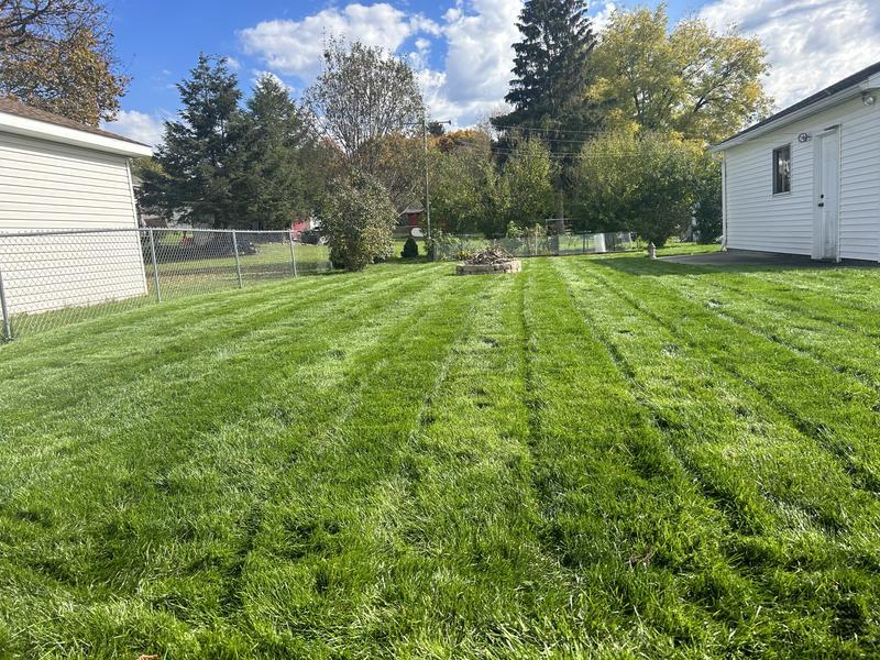 Greenest Grass in the Hood.  Better than lawn care yards.