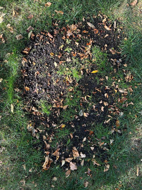 8 sqft after 30 days