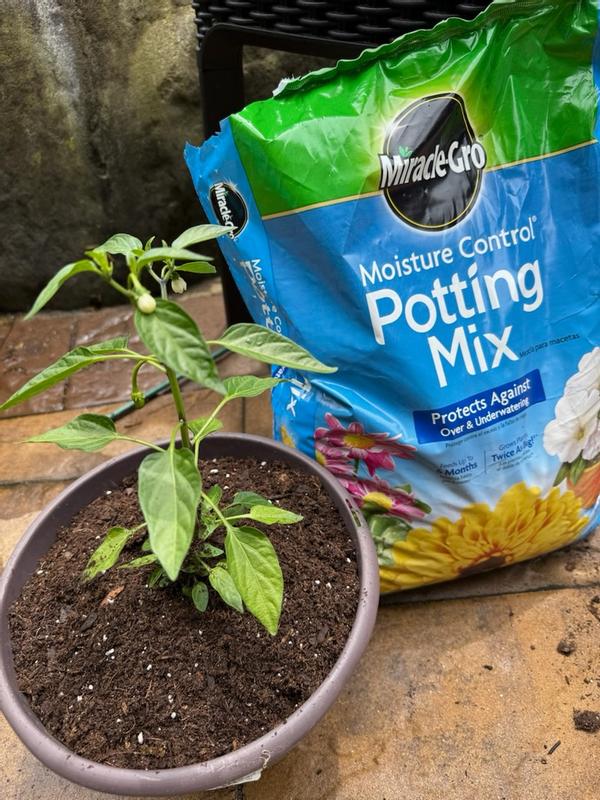 Miracle Gro Moisture Control Potting Mix