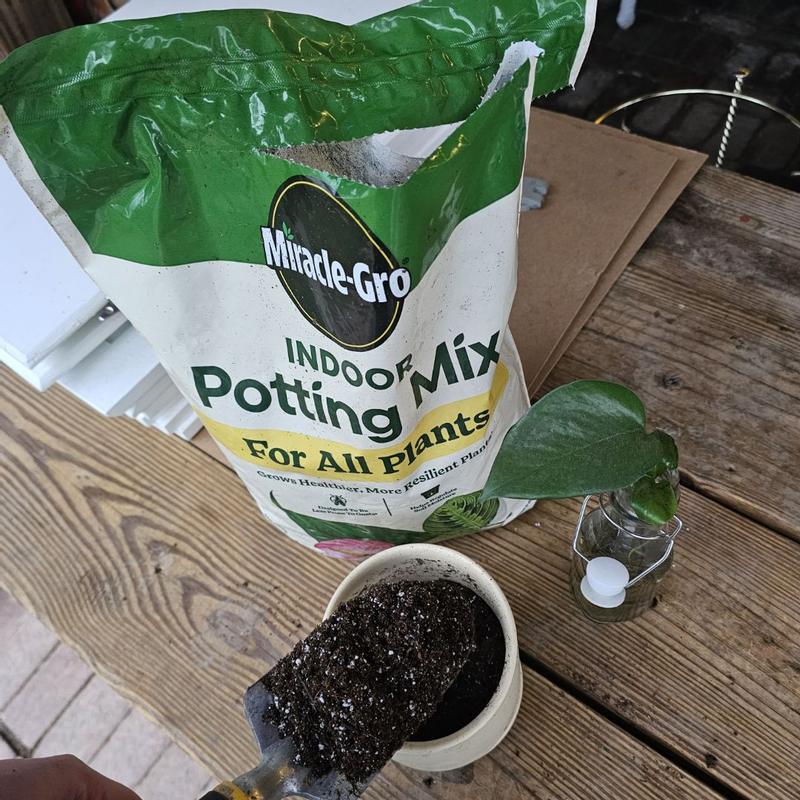 Miracle-Gro Indoor Potting Mix | ScottsMiracle-Gro US