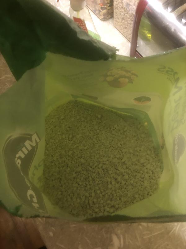 What I found inside.