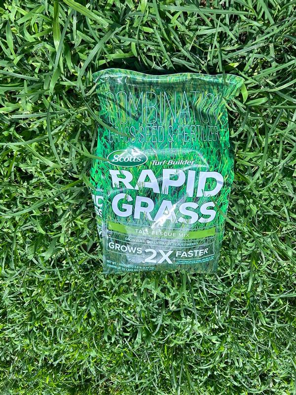 Shop Scotts Tall Fescue - Seed Your Lawn at Lowes.com
