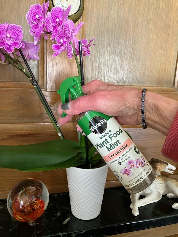 Miracle-Gro Ready-To-Use Orchid Plant Food Mist (2-Pack) VB300522
