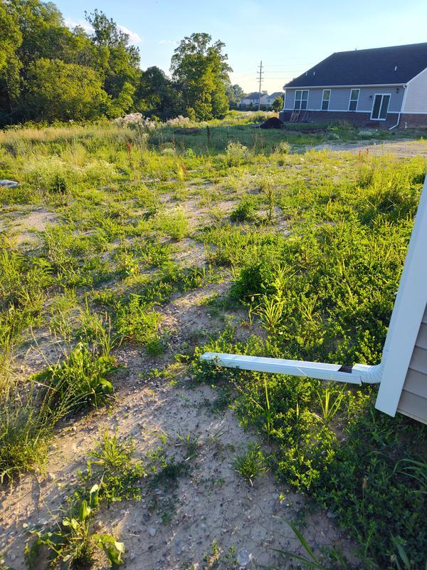 Before and after 2 month later