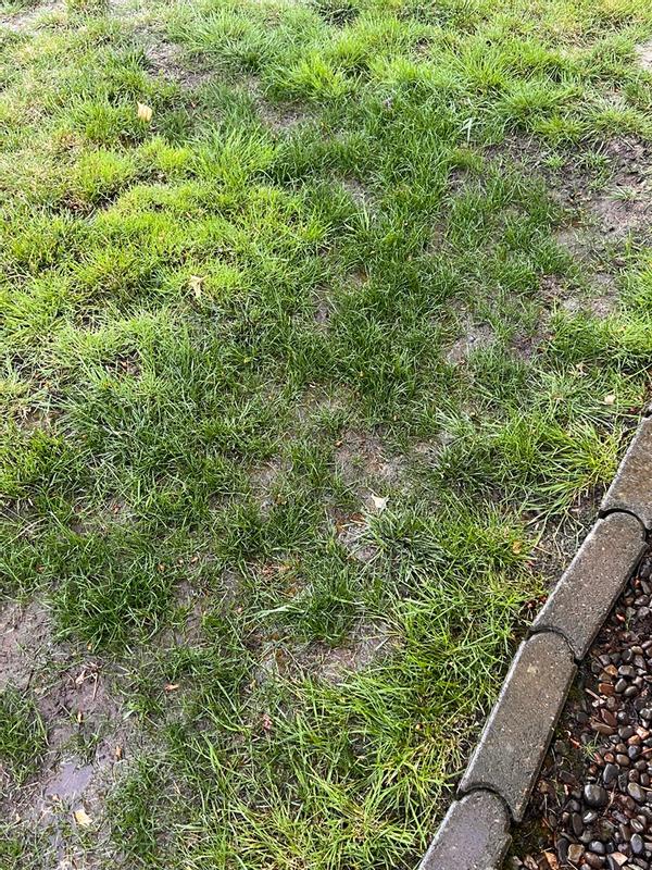 Review photo 5.