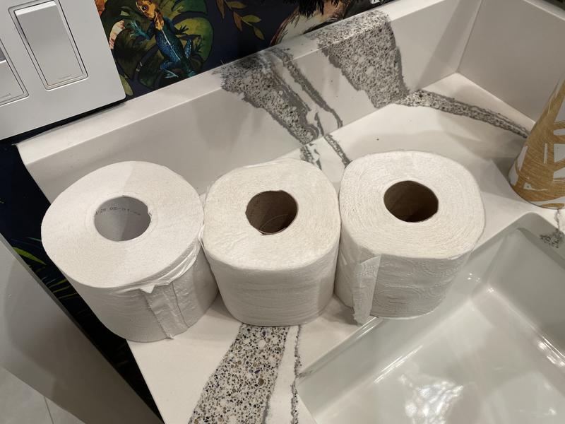 Basically, 4ct Large Roll Soft Toilet Paper