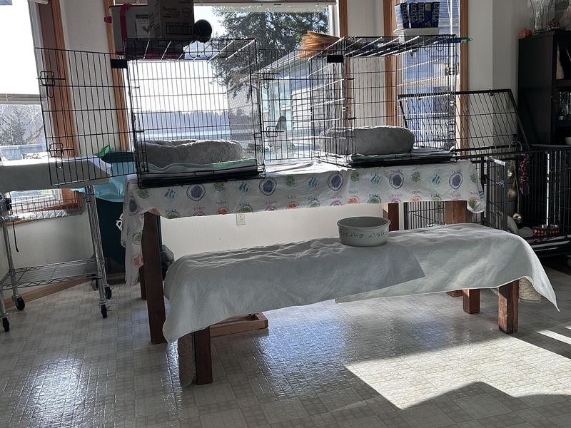 Customer carousel item 2.