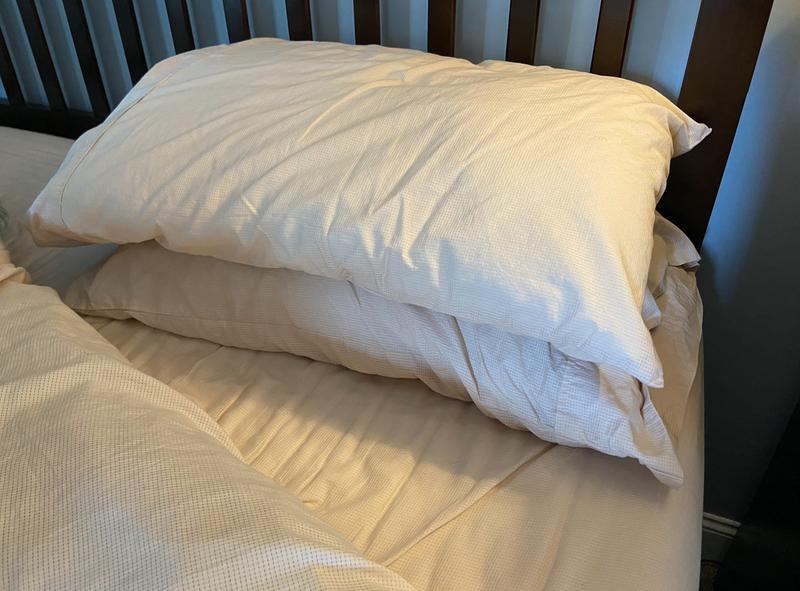 Two pillow cases included