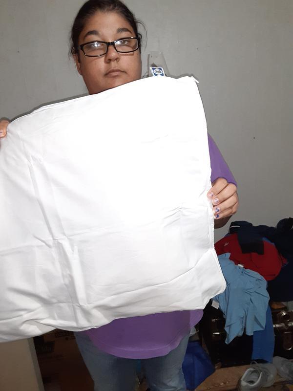 A pillow inside of the Sealy Cotton Touch Pillow Protector