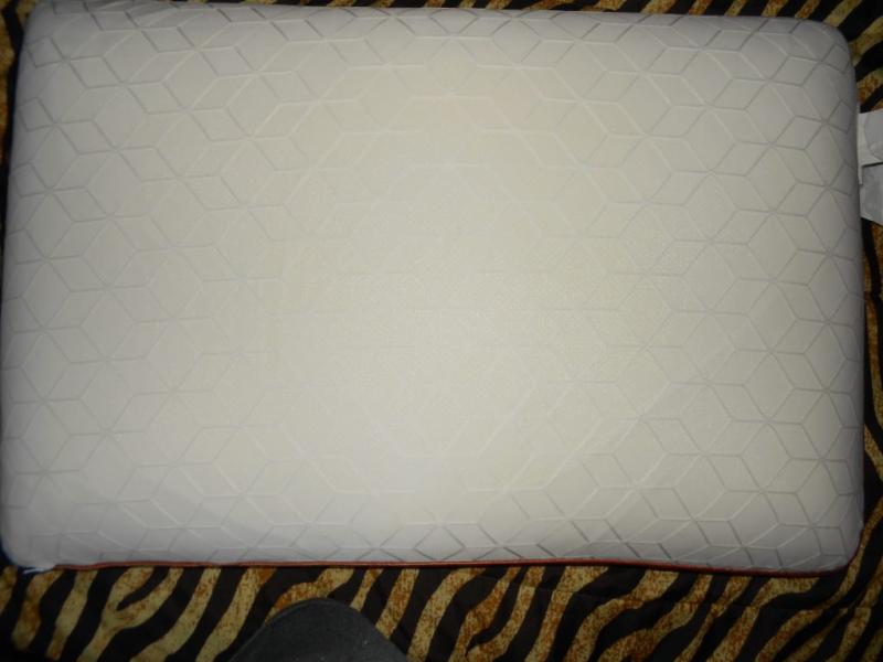 The best pillow ever! I'm in love!