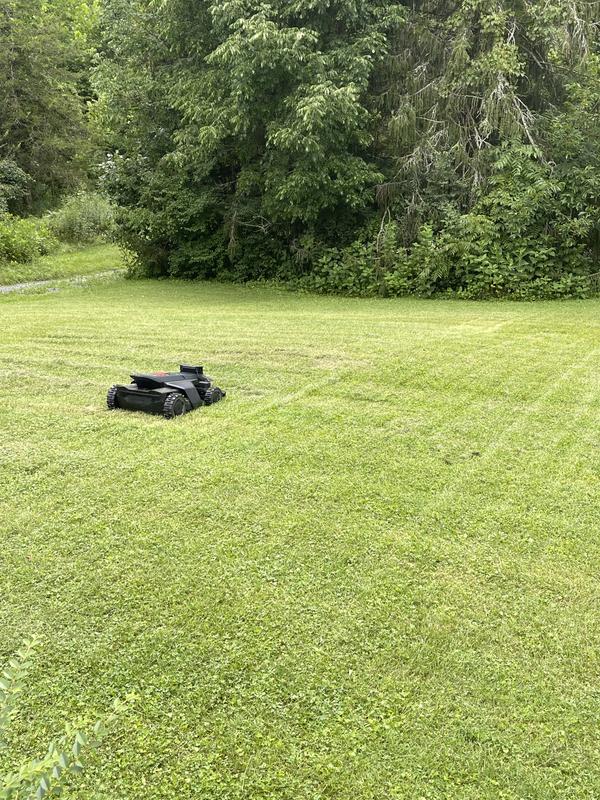 Customer photo of the Navimow X4