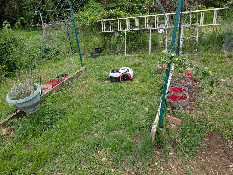 Segway Navimow i105N 7.1in. RTK+Vision Robot Lawn Mower for Up to 1/8 ...