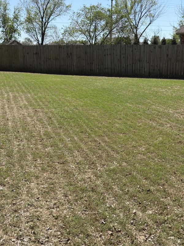 Customer photo of the Navimow X4