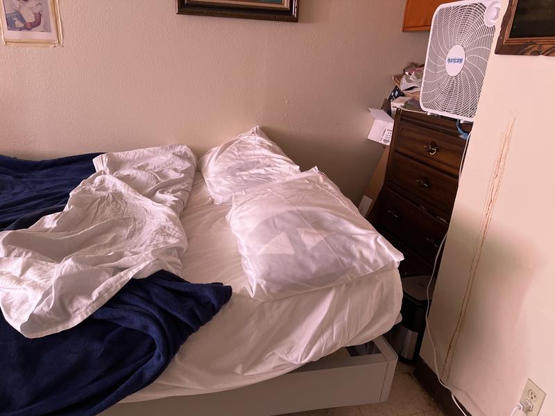 Custom Sleep Pillow Sleep Number