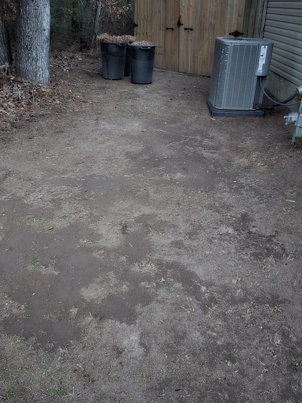 The side of my yard. Moved the dirt under the leaves