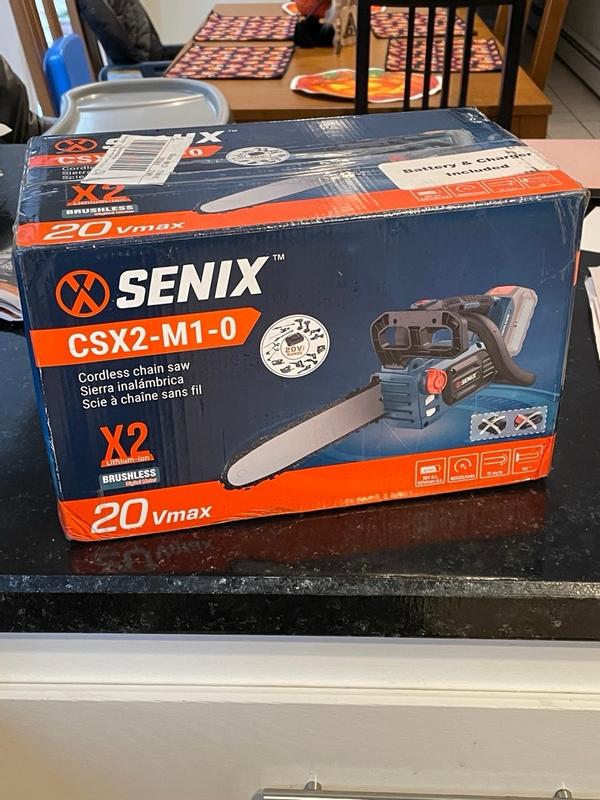 SENIX X2 20-volt Max 10-in Battery 4 Ah Chainsaw (Battery and Charger ...