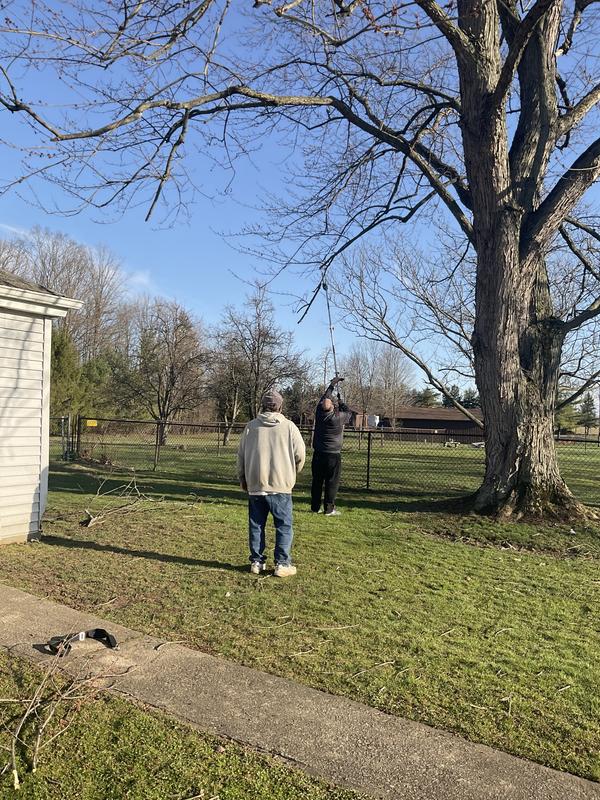 Really helps trim some higher branches