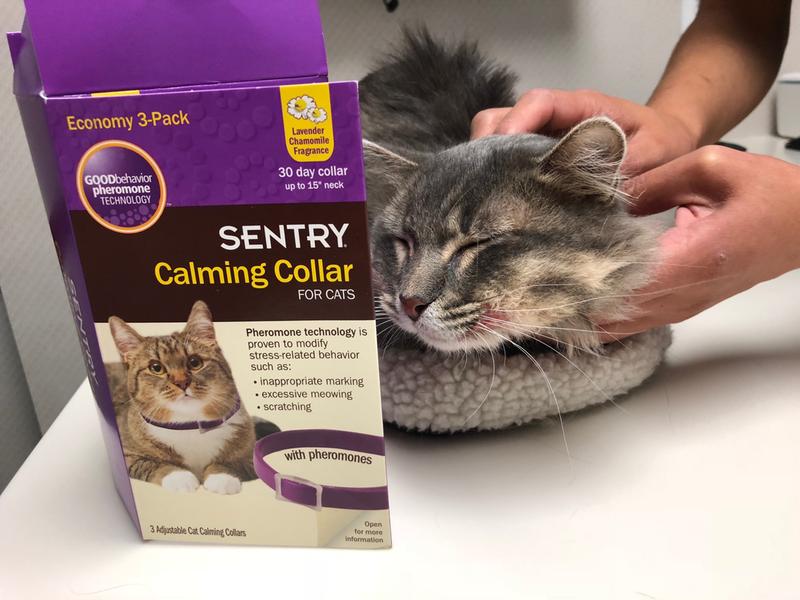 sentry calming collar reviews