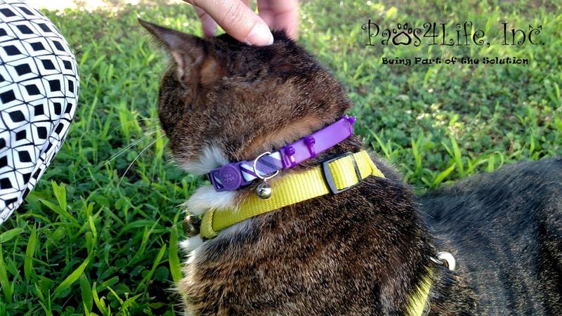 sentry calming collar reviews