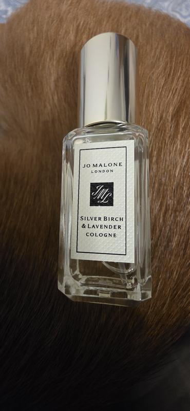 Silver Birch & Lavender Cologne - Jo Malone London | Sephora