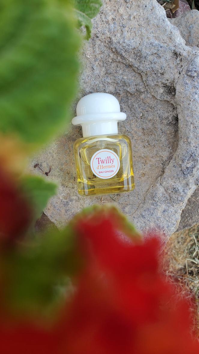 Twilly Eau Ginger Eau de Parfum - HERMÈS | Sephora