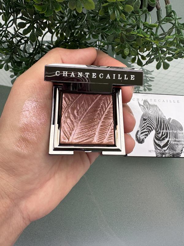 Sheer Gel-Powder Shimmer Eye Shadow - CHANTECAILLE | Sephora