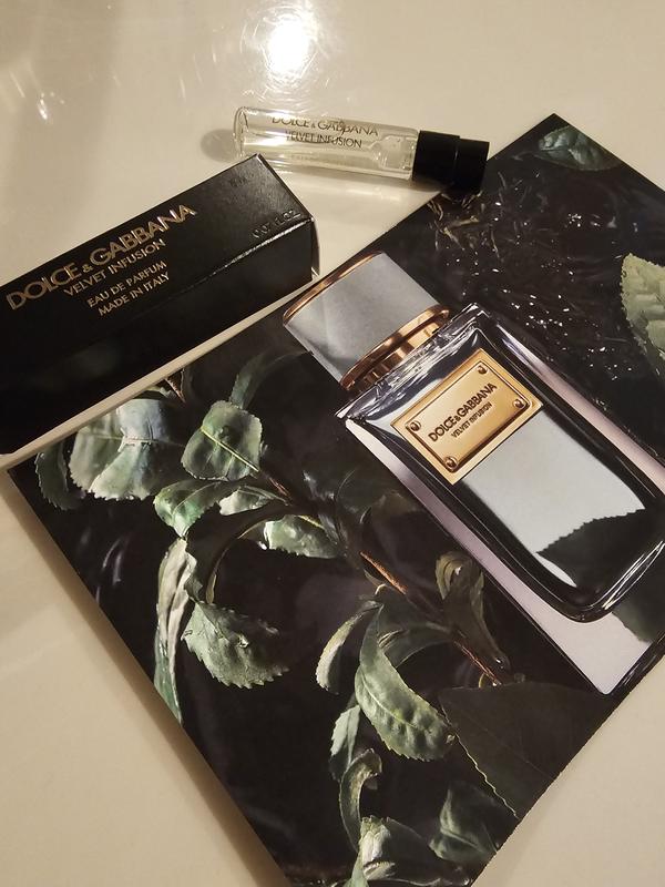 Velvet Infusion with Bergamot - Dolce&Gabbana | Sephora