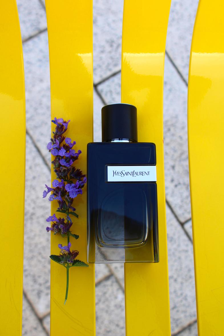 Y Eau de Parfum with Fresh Geranium & Sensual Woods - Yves Saint