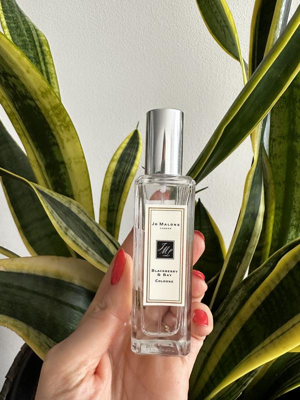 Blackberry & Bay Cologne - Jo Malone London | Sephora