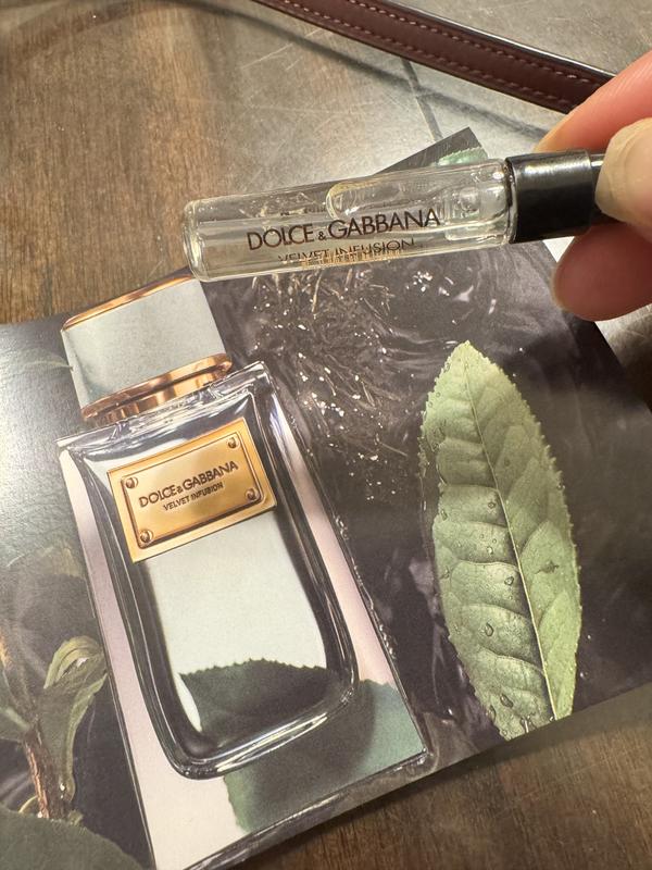 Velvet Infusion with Bergamot - Dolce&Gabbana | Sephora