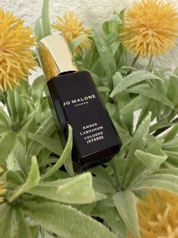 Amber Labdanum Cologne Intense - Jo Malone London | Sephora