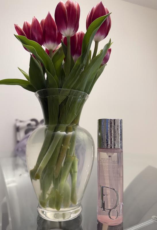 Backstage Airflash Mist Makeup Setting Spray - DIOR | Sephora