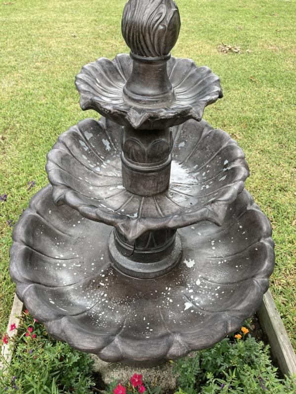 Photo from Tabatha B.