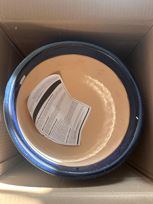 In Box