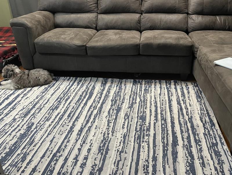 Maggie loves our new rug!