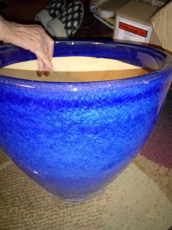 My beautiful planter