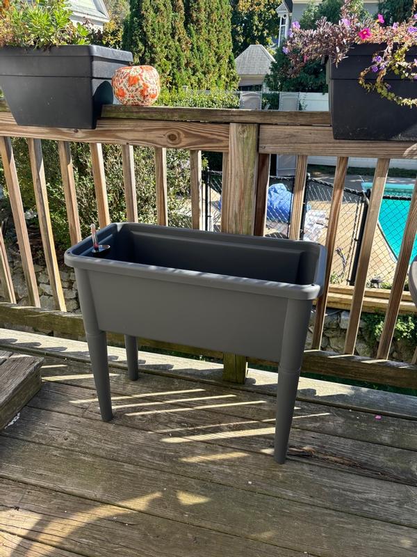 Photo from maeve21