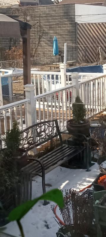 Photo from DRAGONFLY