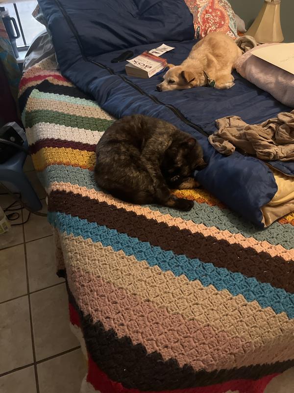 Customer carousel item 3.