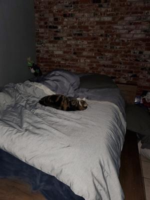 Sleeping like a baby