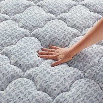 Soft & Plush