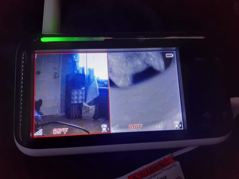 Love that you can see both cameras on the monitor or app.