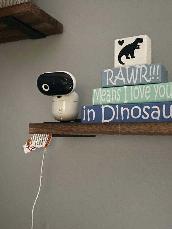 Photo from BoyMom13